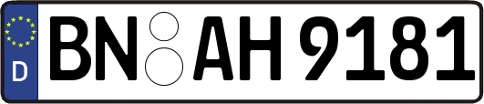 BN-AH9181