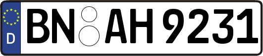 BN-AH9231