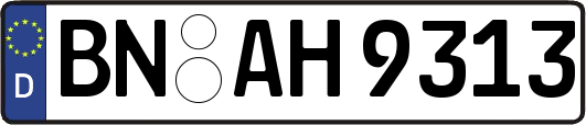 BN-AH9313