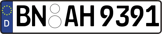 BN-AH9391
