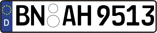BN-AH9513
