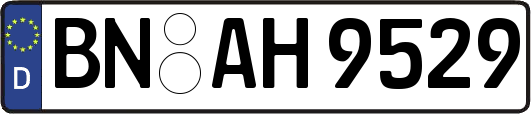BN-AH9529