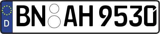 BN-AH9530