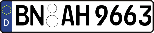 BN-AH9663