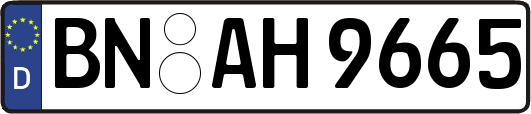 BN-AH9665