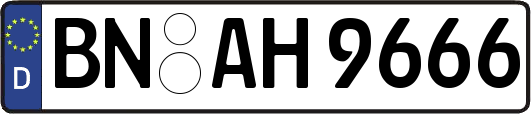 BN-AH9666