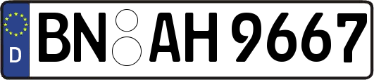 BN-AH9667
