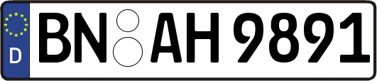 BN-AH9891