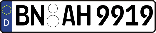 BN-AH9919