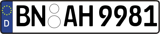 BN-AH9981
