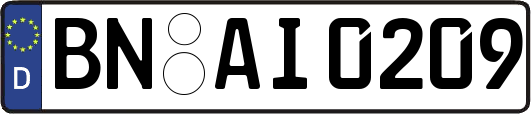 BN-AI0209