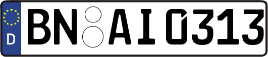 BN-AI0313