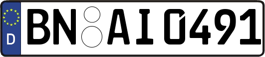 BN-AI0491