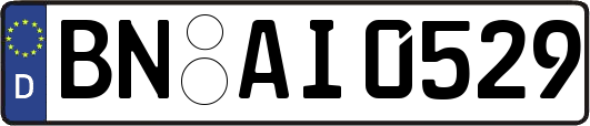 BN-AI0529