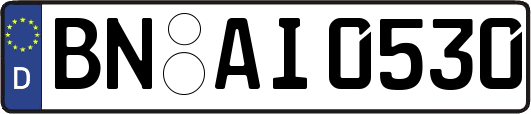 BN-AI0530