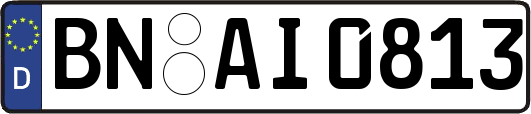 BN-AI0813