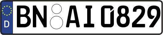 BN-AI0829
