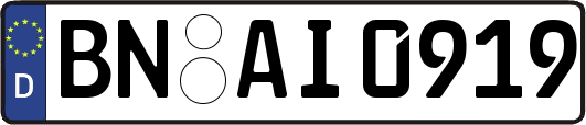 BN-AI0919