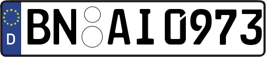 BN-AI0973