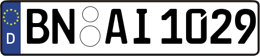 BN-AI1029