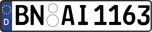 BN-AI1163
