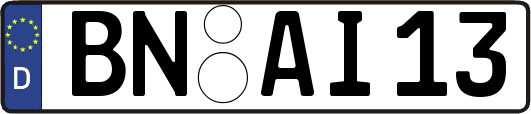 BN-AI13