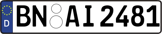 BN-AI2481