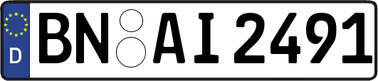 BN-AI2491