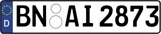BN-AI2873