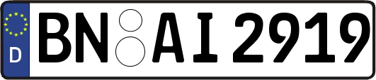 BN-AI2919