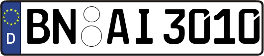 BN-AI3010