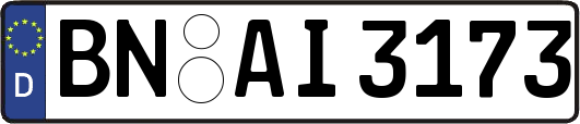 BN-AI3173
