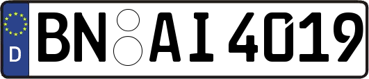 BN-AI4019
