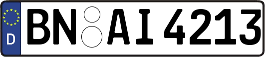BN-AI4213