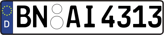 BN-AI4313