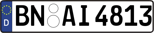 BN-AI4813