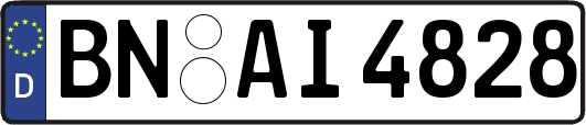 BN-AI4828