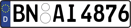 BN-AI4876