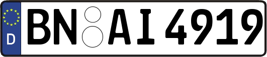 BN-AI4919