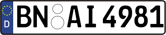 BN-AI4981
