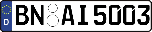 BN-AI5003
