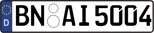 BN-AI5004