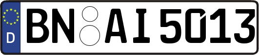 BN-AI5013
