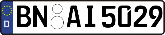 BN-AI5029