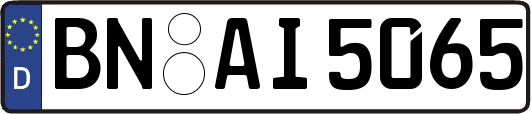 BN-AI5065