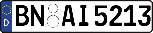 BN-AI5213