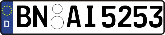BN-AI5253