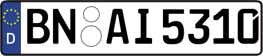 BN-AI5310