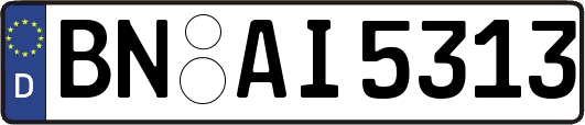 BN-AI5313