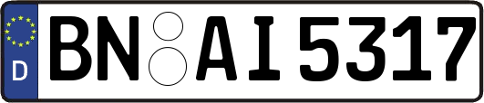 BN-AI5317